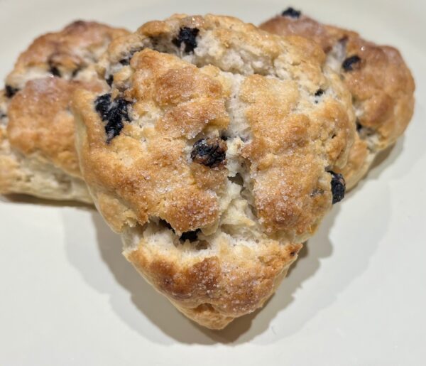 Dairy Free Blueberry
